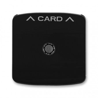 3559A-A00700 N  Kryt spínače kartového, s čirým průzorem, s potiskem, černá